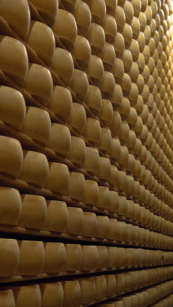 Warehouse of Cheese